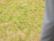 中西里菜十三部全-12