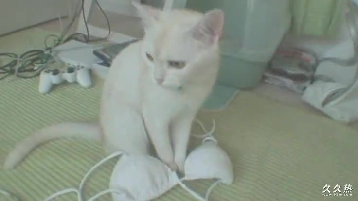 Saori Hara(原紗央莉) - 芸能人 原紗央莉 南の島×超ギリ２デジタルモザイクで [STAR147]