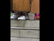 丝袜美腿小姐姐尿急