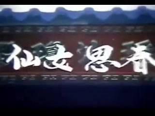 天仙配完整版.avi