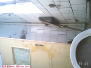 WC咱们县医院的女厕所