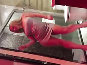 各种美女自拍集合