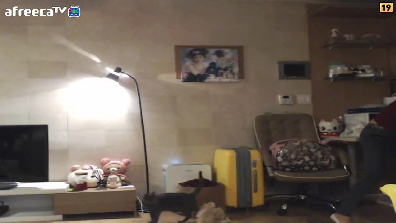 李秀彬 珍藏版05