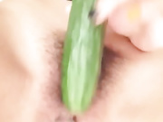 美女黄瓜擦逼自慰