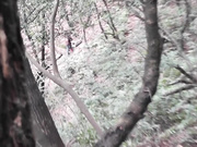 野战啪啪啪